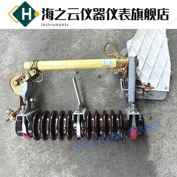 Outdoor high voltage fuse 10kvrw1010100a200a ring switch rw10-10f/100a/200a three price