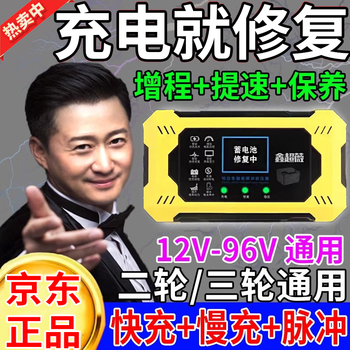 2025 new electric vehicle battery repairer lead-acid lithium battery universal automatic power-off intelligent pulse repair upgrade universal all batteries repair and maintenance 99