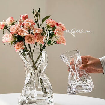 Ixjsn high sense simple creative irregular vase transparent glass living room desktop flower arrangement water support ins decorative ornaments special-shaped money bag transparent