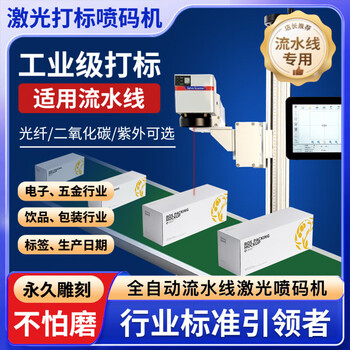 Miyi laser printer inkjet printer production date batch number fully automatic flight assembly line visual positioning marking gsj20-sz
