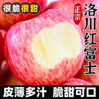 Jingmi luochuan red fuji apple 5kg single fruit 200g+ shaanxi fresh fruit fresh new year festival straight from the source