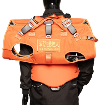 Champion dog search and rescue dog carrying backpack dog backpack working dog backpack