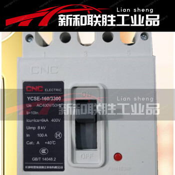 Special/general ticket great wall se-160/3300 molded case circuit breaker dz10/ycse-63a160 250a can be issued