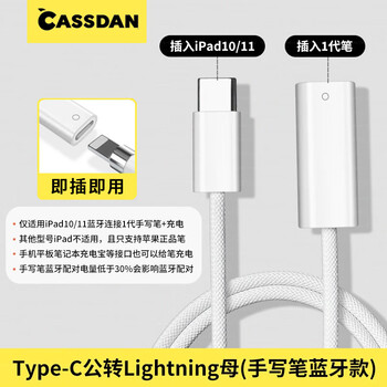 Cassdan is suitable for apple stylus apple pencil first generation pen bluetooth pairing cable lighting to typec tablet ipad10/11 bluetooth connection charging apple pencil first generation pen (charging + pairing) adapter cable 0.