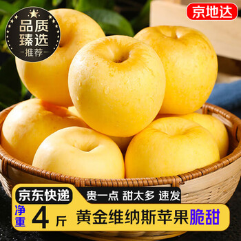 Jingdida yantai golden venus apple 4kg 80-85mm large fruit high-end fruit direct from source with free shipping