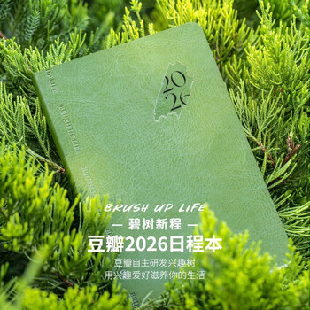 Douban 2026 schedule - efficiency manual 365-day planner time management planner daily diary notepad one page a day self-discipline check-in