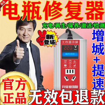 Bull 2025 new electric vehicle battery repairer genuine automatic power-off universal pulse charging battery life activation artifact