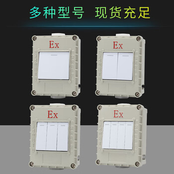 Explosion-proof wall switch 220v single-link double-link 10a dual-control exposed and concealed 86 type industrial lighting switch, one open and one control