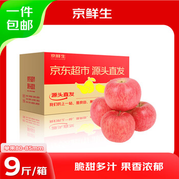 Jingxiansheng shandong yantai red fuji apple 9 catties single fruit 80-85mm fresh fruit straight from the source
