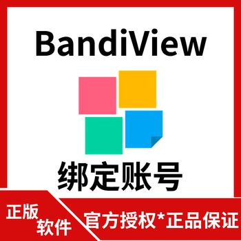Bandiview pro professional version picture browser tool bandizip file compression/decompression software serial number honeycam gif/webp animation production and editor bandiview pro-1pc