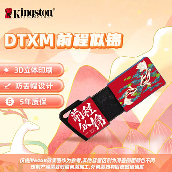 Kingston official genuine car disk large capacity girl disk mobile high-speed car mobile phone computer colorful personality - hot style - bright future package one 256gb