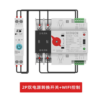 Uninterruptible power supply dual power automatic transfer switch wifi timing control millisecond level mobile phone wireless network control remote operation peak and valley table switching 2p63a+wifi 2 days customized products