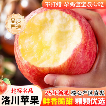 Luochuan apple, shaanxi yan'an luochuan red fuji apple, 25-year new fruit, seasonal apple fruit gift box, direct delivery from the origin, selected extra large fruits, net weight 8.5 catties (single fruit 250+), about 15-18 pieces