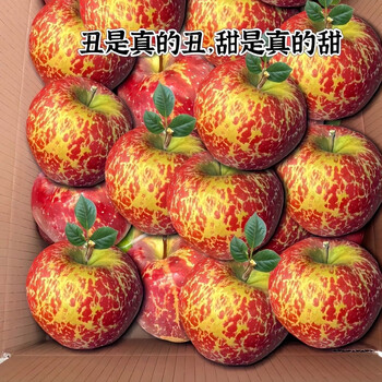 Freshly picked and harvested wild ugly apples from zhaotong, yunnan in season, daliangshan apples with rock candy heart, 9.4-10kg box, 70-80mm color box, foam tray