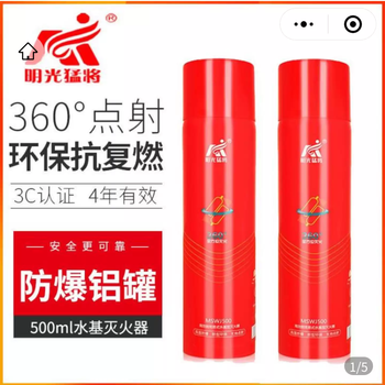 Mingguang meng's vehicle-mounted fire extinguisher 2025 new national standard 13b water-based household fire-fighting equipment for portable cars 2-bottle car-home dual-purpose fire extinguisher