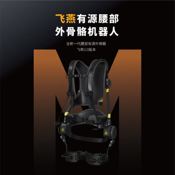 Maibao intelligent feiyan active waist assist exoskeleton robot logistics handling industrial handling scientific research assists walking and work feiyan