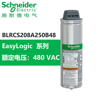 Schneider capacitor low voltage fan three-phase capacitor blrcs208a250b48 blrcs208a250b48