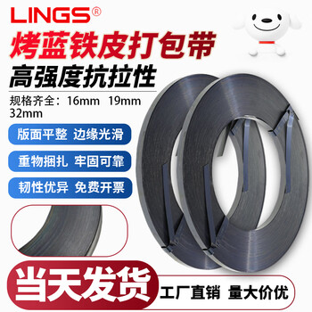 Lings iron baked blue packing belt iron belt steel belt metal strapping high strength iron packing belt width 19mm * thickness 0.5mm * 40kg (20kg * 2)