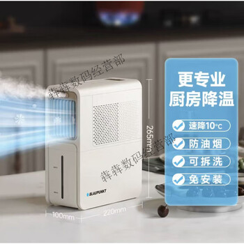 Blaupunkt germany blaupunkt handheld multi-functional high temperature and high pressure steam cleaner household kitchen steam cleaning machine all-in-one warm apricot yellow full set + blaupunkt water-cooled fan