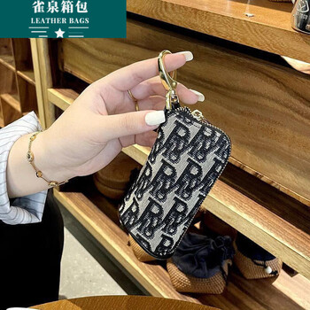 Ye yu key bag women's 2025 new portable internet celebrity canvas storage bag mini small bag multifunctional large capacity key bag internal and external upgraded anti-slip wear-resistant anti-theft brush black-r8