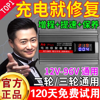 Aijia electric vehicle battery repair artifact 12-96v universal fully automatic pulse repair battery automatic power-off protection battery repairer top version