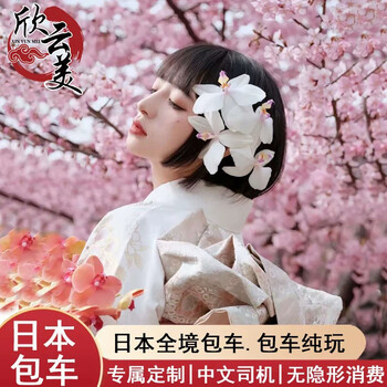 Japan chartered car service 1-day tour nagoya castle + atsuta shrine + nagoya legoland, comfortable 7 seats