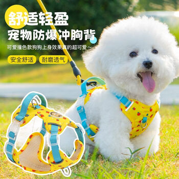 Ixjsn dog leash adjustable chest and back for dog walking vest-style harness for small and medium-sized dogs bichon schnauzer dog leash sky blue 1.5m leash xs recommended small dog weight 5-11 catties