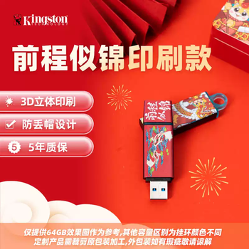 Kingston official genuine car disk large capacity girl disk mobile high-speed car mobile computer cost-effective model - hot model - bright future package one 256gb