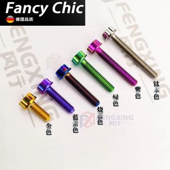 Fancychic titanium alloy screw m4 flange internal and external plum brake pump motorcycle repair multi-color titanium nail m4x10mm one purple (anodized)