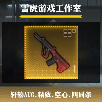 Subway escape equipment, surnan pistol, xuanyuan armor, mo shouto, statuette, xuanyuan aug, commander key, xuanyuan aug. exquisite. hollow. four entries.