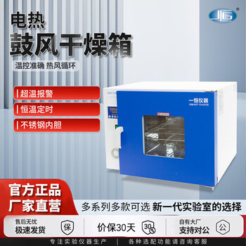 Yiheng shanghai oven electric blast drying oven heating constant temperature industrial oven laboratory dhg-9030 dhg-9620a stainless steel inner tank 620l