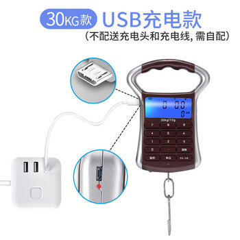 Shijanu portable scale high-precision portable electronic scale portable spring scale hand scale price charging express scale hook scale rechargeable model 30kg (charging cable not included)