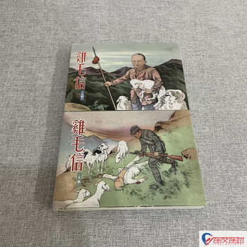 Chicken feather letter, comic book, 2 volumes in total, upper and lower volumes, 50-carat edition, illustrated by liu jiyao, tianjin people's fine arts publishing house