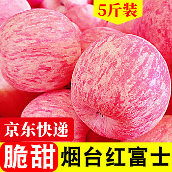 Rose gardenia yantai red fuji apple shandong qixia fresh fruit for pregnant women unwaxed first-class crisp and sweet seasonal whole box 80mm (inclusive)-85mm (exclusive) fuji 5kg a+ selected fruit