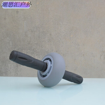 Zailu double bearing abdominal wheel home indoor fitness waist and abdominal core training equipment main picture