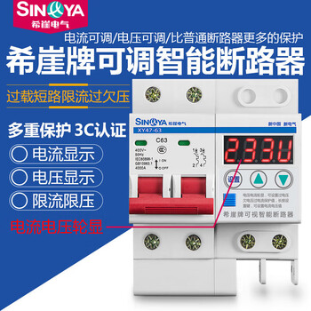 Xiya small circuit breaker air switch current limiting overvoltage lightning protection short circuit protector electric gate total open household 63a 40a 2p