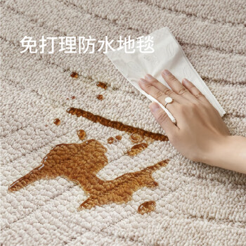 Saibos liuguangqu waterproof carpet three-dimensional relief french cream light luxury high-end plain color living room and bedroom washable and wipeable liuguangqu (waterproof) 200cm*300cm