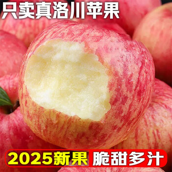 Shaanxi luochangfeng luochuan apple red fuji 2025 new fruit natural fresh unwaxed can be eaten with the skin straight from the place of origin net weight 4.5 catties 75mm
