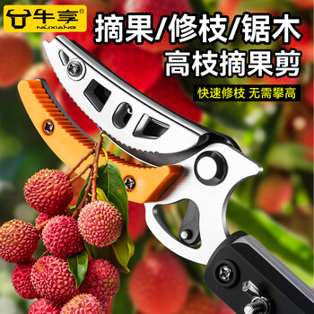 Niuxiang high-altitude fruit scissors fruit picking artifact telescopic picking loquat and lychee extended picker yellow skin high branch shears longan pole high branch fruit picking shears 1m stainless steel yellow shear head