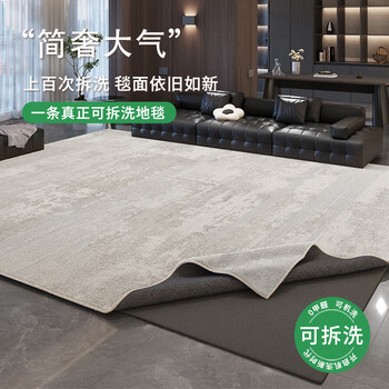 Budis removable and washable carpet for living room, light luxury and high-end machine washable sofa floor mat for bedroom, carpet surface 200*140cm