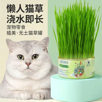 Huanpet.com cat grass set cat grass seed potted lazy canned hydroponics soil culture planting cat snacks cat hair cat mint