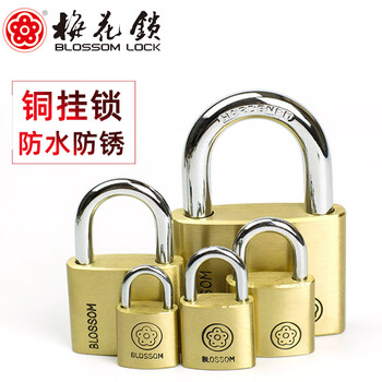 Plum blossom (blossom) waist round copper padlock small padlock luggage luggage padlock mini high-looking internet celebrity copper padlock cabinet door lock anti-theft window padlock lock drawer notebook copper padlock 20mm bc9020