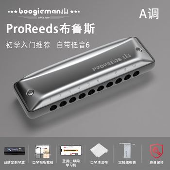 Boogiemanproreeds ten-hole harmonica 10-hole blues for adult beginners round-hole paddy scale garden same model a key (standard scale model) + gifts
