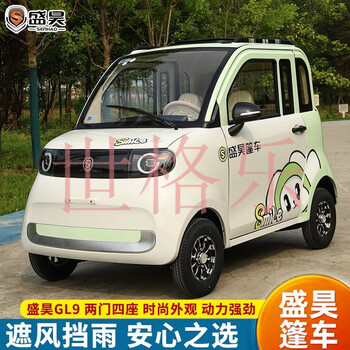 Shenghao gl9 electric four-wheel vehicle new energy fully enclosed home mobility ladies two-door small four-wheel electric vehicle naked vehicle does not include battery and charger 60v