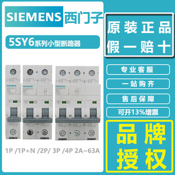 Siemens small circuit breaker 5sy6 5sy41p/2p/3p/4p/ 1a-16a-32a miniature air switch 1a type c x 1p+n x 5sy4