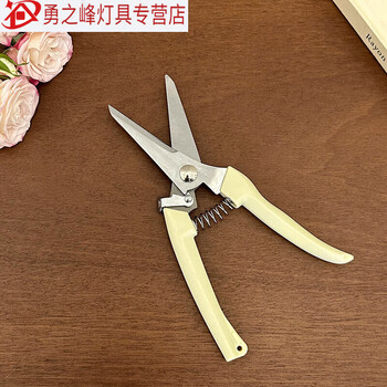 Sailotou florist gardening branch shears, flower shears, hardware scissors, pruning garden household flower arrangement tools, direct shears, household shears, thin branches