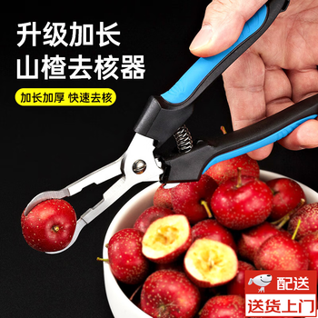 Aiboduo's new hawthorn core removal artifact stainless steel household pliers to remove seeds and core homemade candied haws making tools seller recommendation upgraded model - camellia red