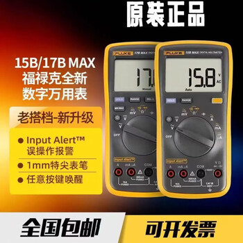 Fluke digital multimeter f15b+/f17b+/f18b+/12e+/f107/f101 high-precision electrician special burn-proof f15b max-01 (standard pen) + free invoicing