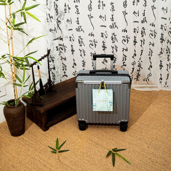 Ye yu travel small suitcase lightweight boarding case free check-in trolley box suitcase wheel student silver 18 inches - 2 sections trolley - suitable for under 1.55m
