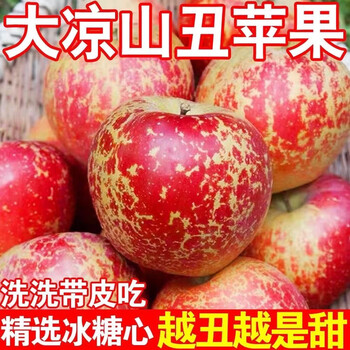 Land mother project daliangshan ugly apple yanyuan apple red fuji crisp sweet apple fruit seasonal fresh fruit yanyuan apple net weight 5 jin large fruit 11-13 pieces